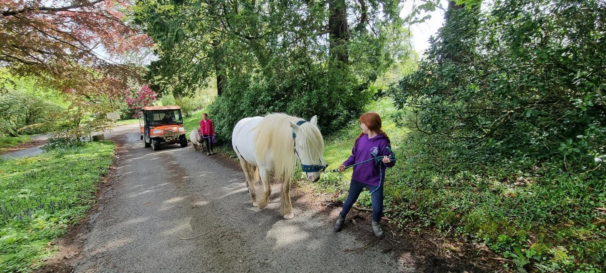 No 4 Trelawney Apartment - Onsite Bar - Restaurant - Horse Riding Menheniot Dış mekan fotoğraf
