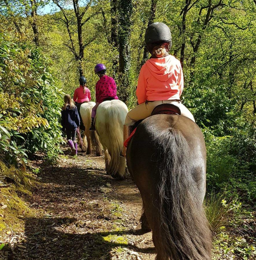 No 4 Trelawney Apartment - Onsite Bar - Restaurant - Horse Riding Menheniot Dış mekan fotoğraf